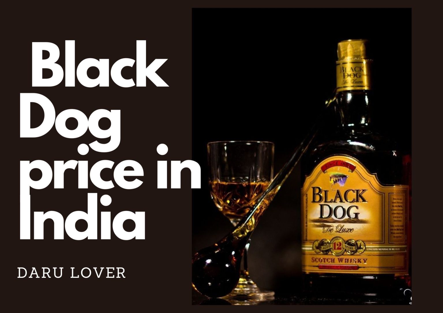Black Dog Scotch whisky price in India( Updated 2024) darulovers